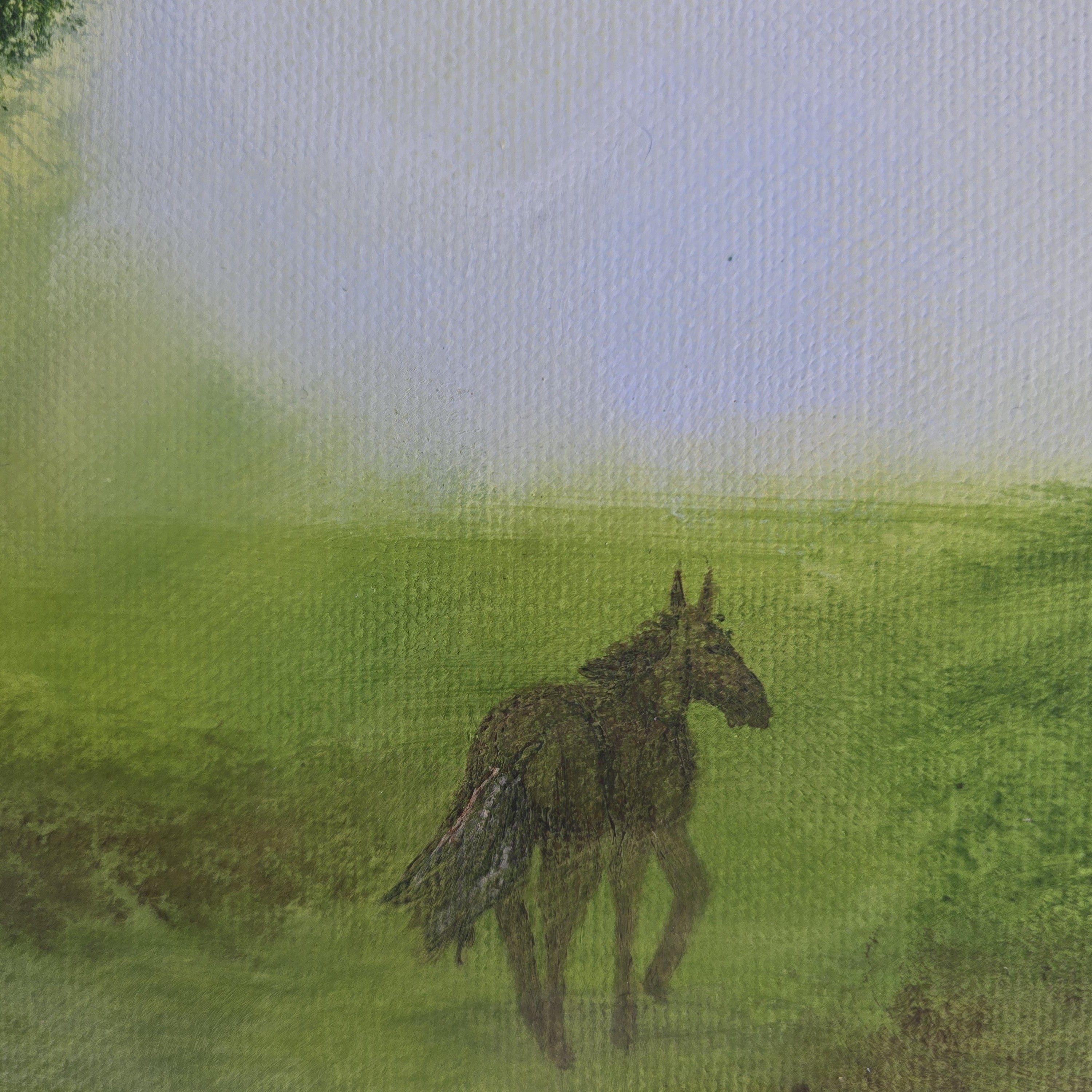 Horse in a grassy field with a blurred background