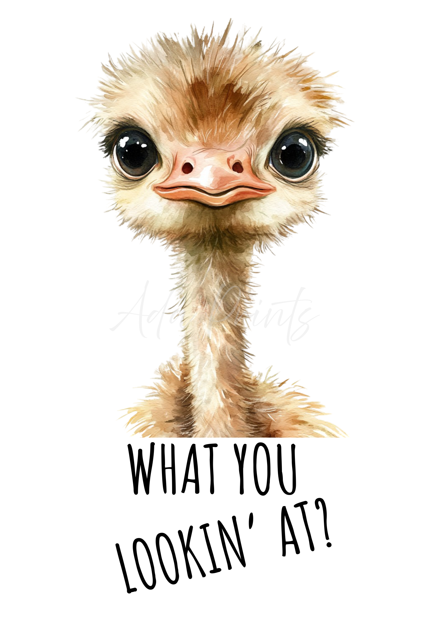 What You Lookin At Ostrich Print - Funny Animal Wall Art