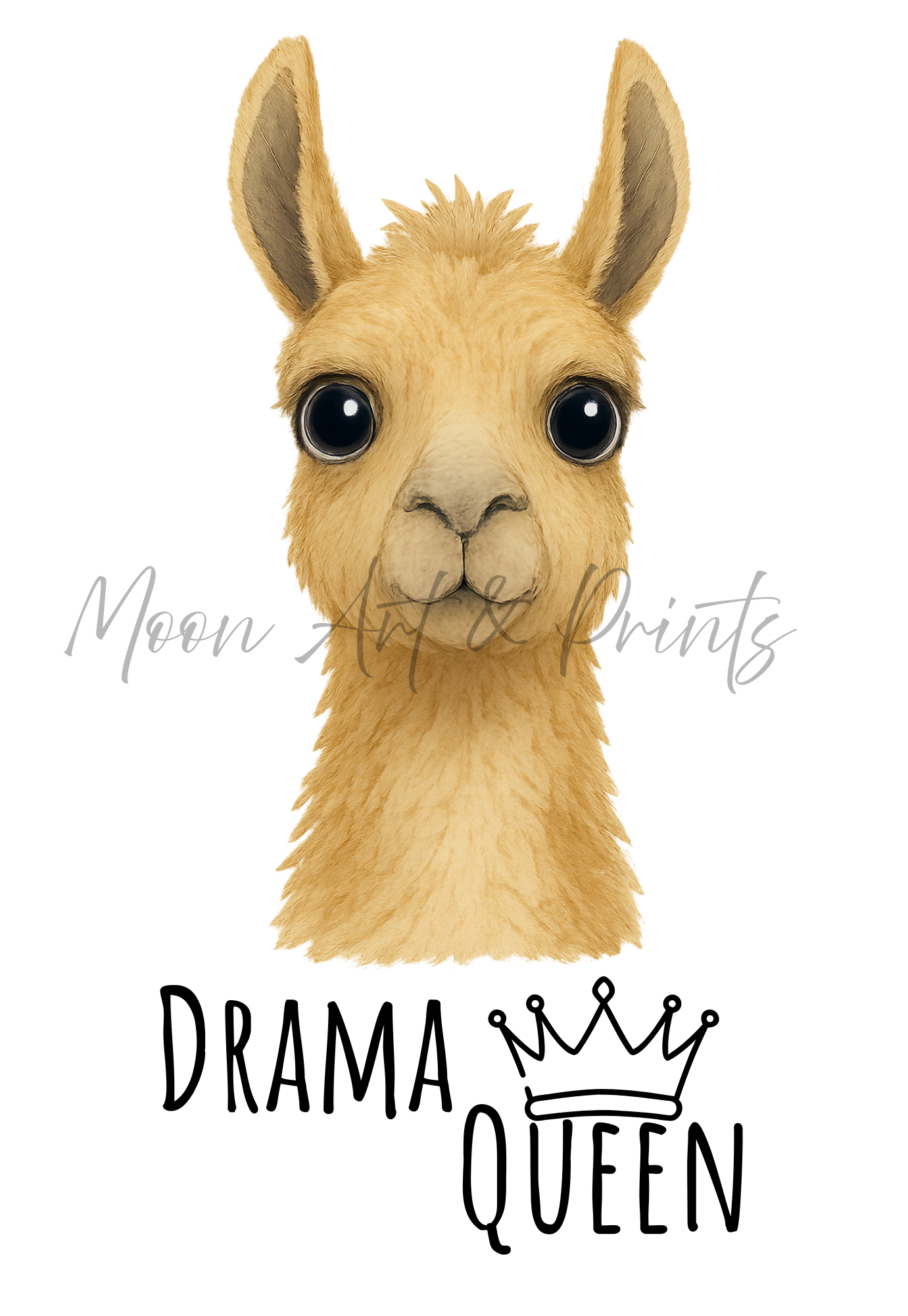 Funny llama wall art with Drama Queen text- quirky animals print for any room wall décor 